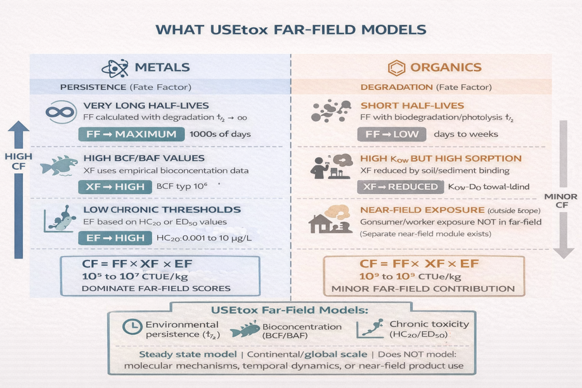 Why Do Metals Systematically Dominate USEtox Toxicity Scores in LCA?